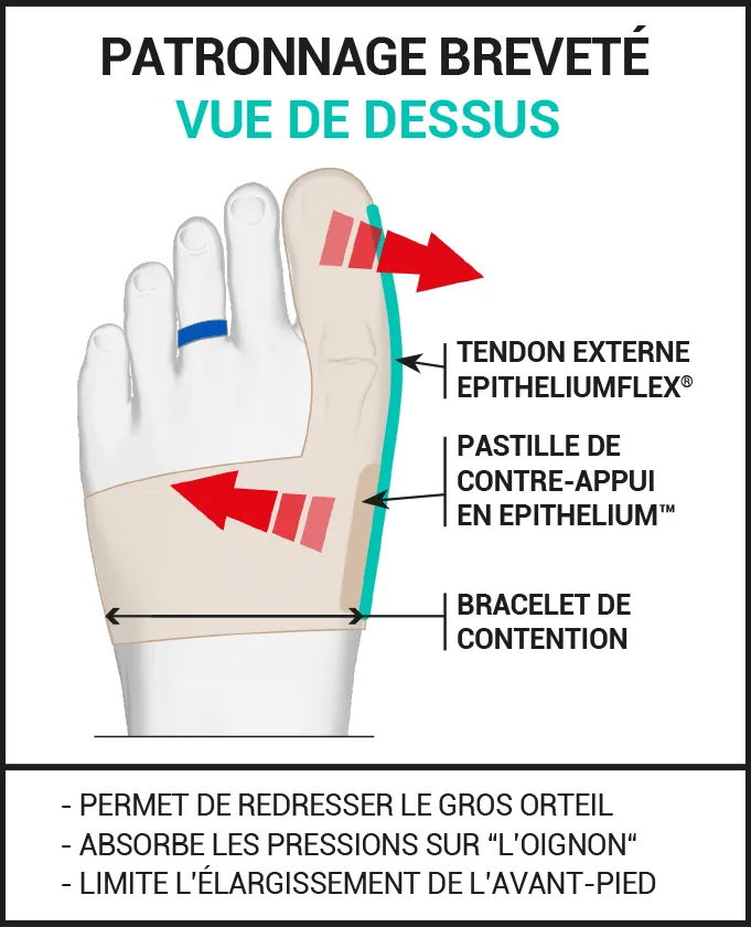 Orthèse corrective de l’hallux valgus double de jour